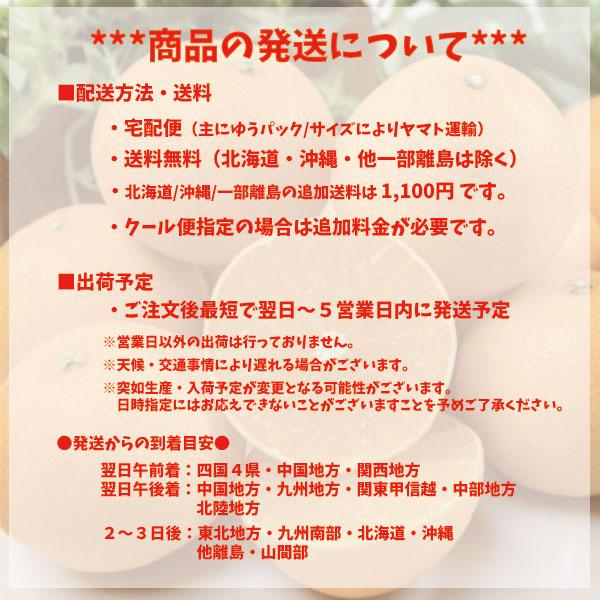 愛果48号 みかん 箱買い 家庭用 愛媛県産 約2kg 紅プリンセス 同等品