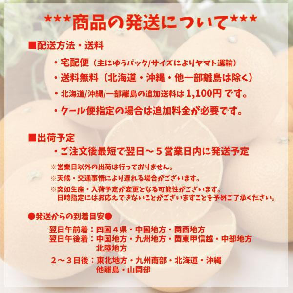 あきたこまち 愛媛県産 新米 2023年 玄米 精米可 約5kg 送料無料｜vegetable-fruit-pro｜05