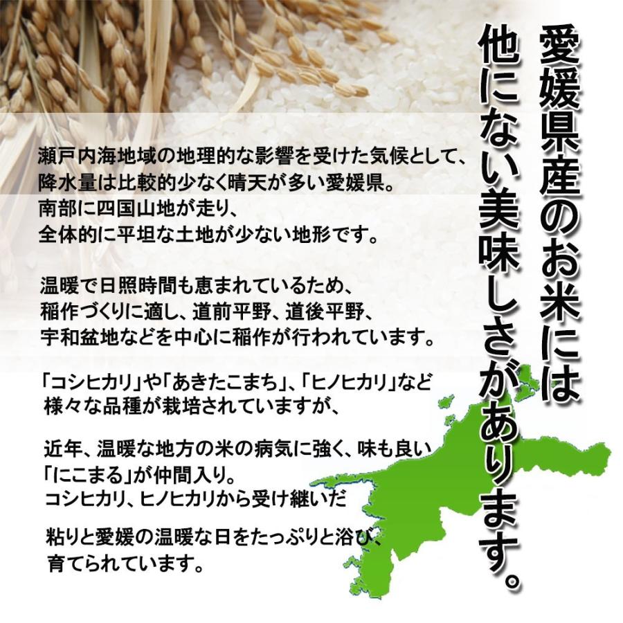 あきたこまち 愛媛県産 新米 2023年 玄米 精米可 約5kg 送料無料｜vegetable-fruit-pro｜02