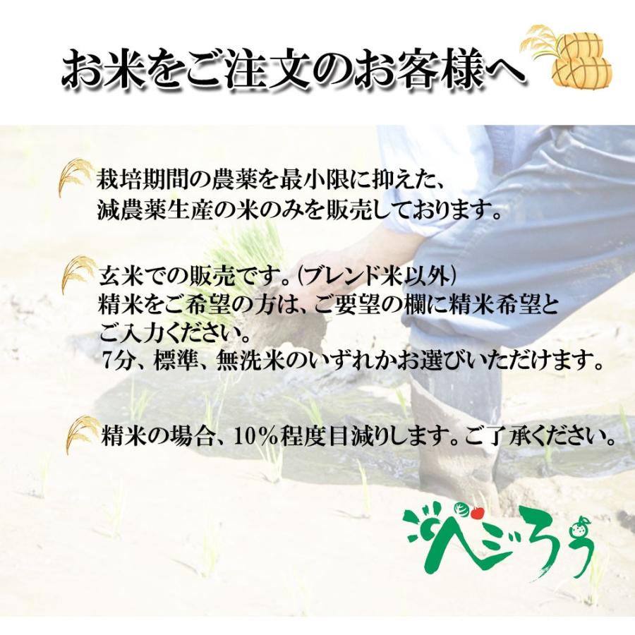 あきたこまち 愛媛県産 新米 2023年 玄米 精米可 約5kg 送料無料｜vegetable-fruit-pro｜04