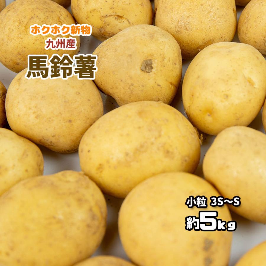 馬鈴薯 新じゃが じゃがいも 新馬鈴薯 長崎県 鹿児島県 芋 約5ｋｇ 送料無料 3s S 小粒 Bareisho5 ベジろう 通販 Yahoo ショッピング