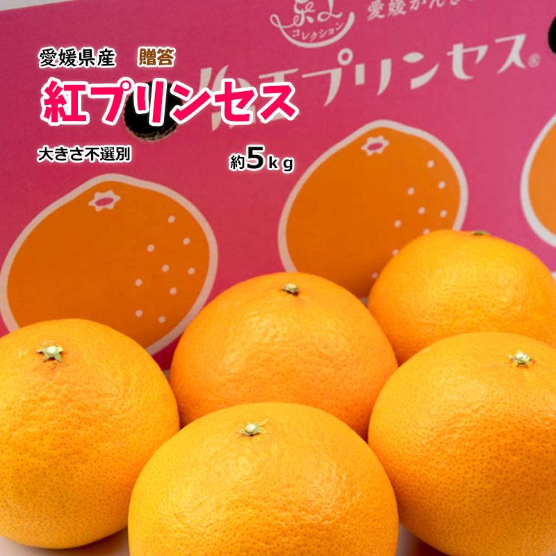 みかん　紅ぷり4kg×２箱ぐるりん 2026年3月発送予定】愛果48号 2kg L～2Lサイズ 紅プリンセス同一品種