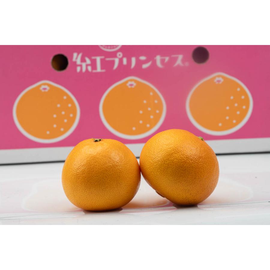 紅プリンセス みかん Lサイズ 5kg 2026年3月発送予定】愛果48号 5kg 紅プリンセス同一品種 農園直送