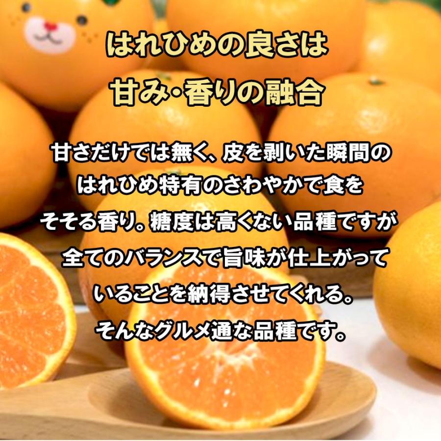 はれひめ 訳あり 箱買い みかん ご家庭用 雑柑 Ｓ Ｍ Ｌ 2Ｌ 3Ｌ 2ｋｇ 送料無料 |  | 02