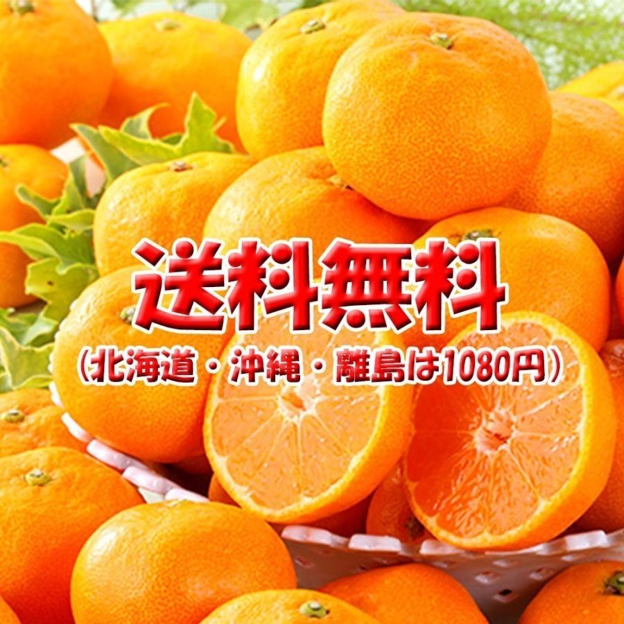 はれひめ 訳あり 箱買い みかん ご家庭用 雑柑 Ｓ Ｍ Ｌ 2Ｌ 3Ｌ 2ｋｇ 送料無料 |  | 04