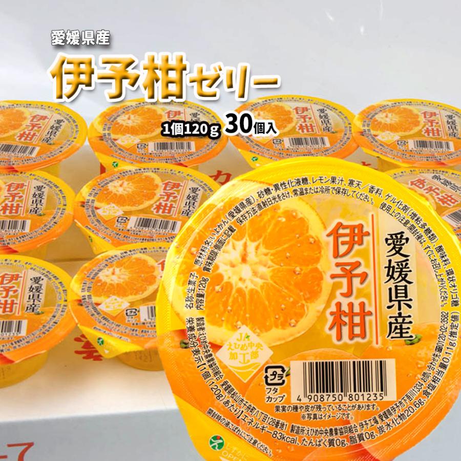伊予柑ゼリー ゼリー いよかんゼリー みかんゼリー 1個120g 30個入