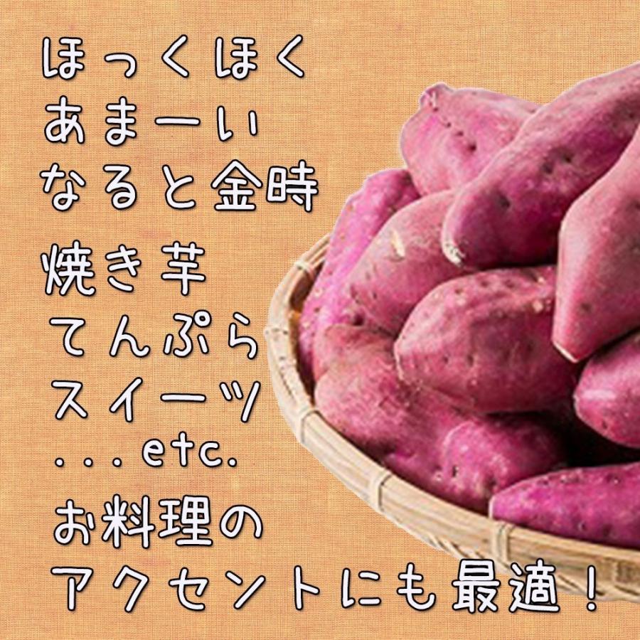 鳴門金時 食べきり S〜2S 徳島県産 なると金時 金時芋 さつまいも