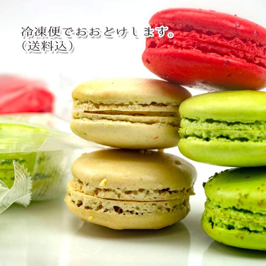 マカロン 冷凍 5個入 大阪 泉州屋の人気マカロン バニラ
