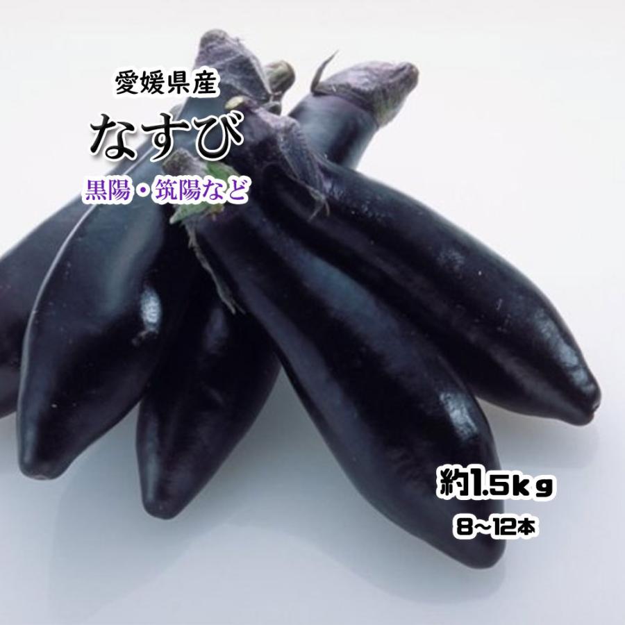 が大特価 なすび 愛媛県産 なす 茄子 ナス 黒陽 筑陽 他 約1 5ｋｇ 8 12本