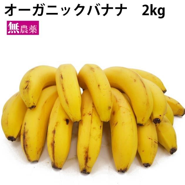 送料込 有機 オーガニック バナナ 2kg 中南米産 :10175-2:ベジタブルハート - 通販 - Yahoo!ショッピング