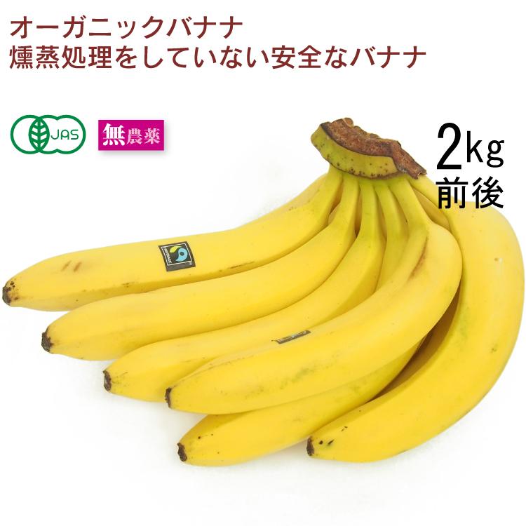 23kg痩せ】バナナの効果がすごかった🍌健康効果、選び方、食べ方