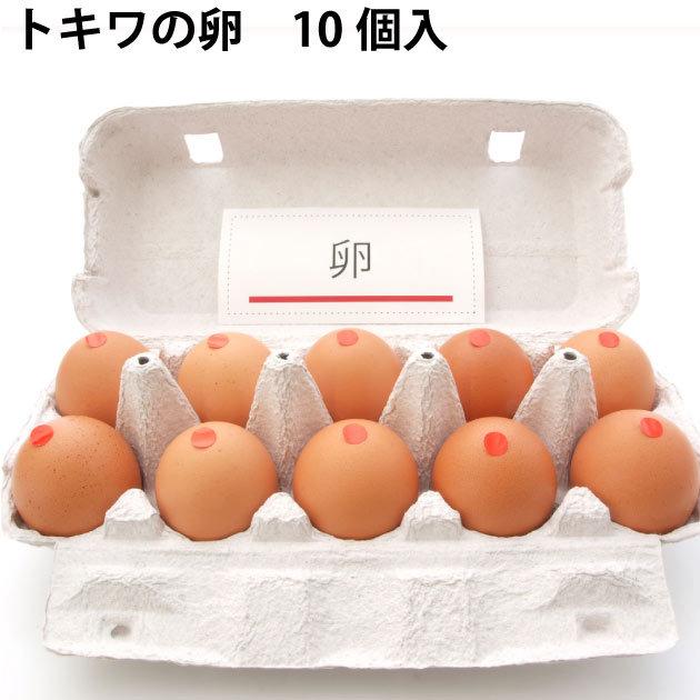 鶏卵 青森 トキワ養鶏 卵 40個 送料込 :19010-2:ベジタブルハート - 通販 - Yahoo!ショッピング 鶏卵 青森 トキワ養鶏 卵 40個 送料込 :19010-2:ベジタブルハート - 通販 - Yahoo!ショッピング