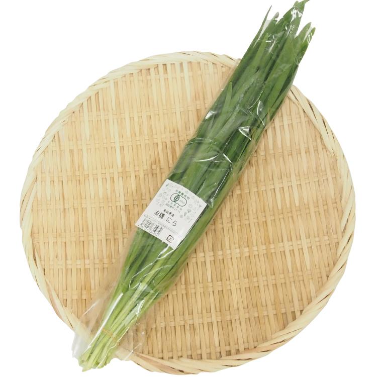 ネギニラ１００本　　無農薬 有機栽培 ニラ 100g×1袋 高知県産 無農薬栽培 送料別 ポイント消化