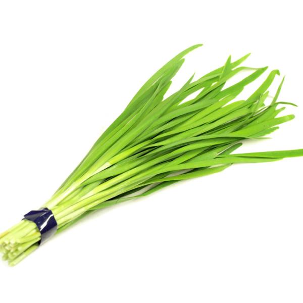 有機栽培 ニラ 100g×1袋 高知県産 無農薬栽培 送料別 ポイント消化