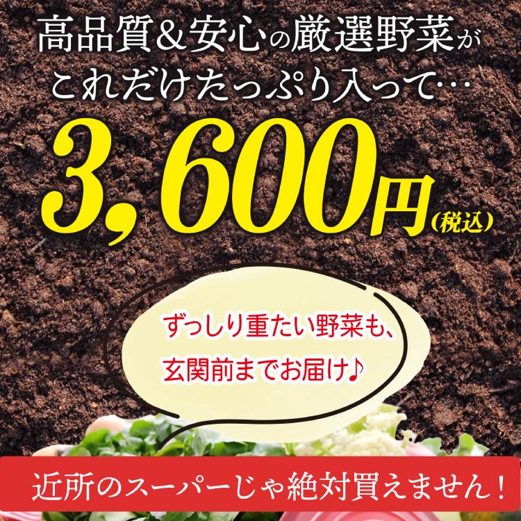 無農薬と低農薬だけ!旬の国産野菜 詰め合わせ 13種類 セット 13 無農薬と低農薬だけ!旬の国産野菜 詰め合わせ 13種類 セット 13
