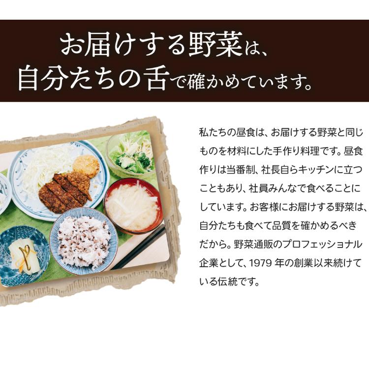 無農薬と低農薬だけ!旬の国産野菜 詰め合わせ 13種類 セット 13 無農薬と低農薬だけ!旬の国産野菜 詰め合わせ 13種類 セット 13