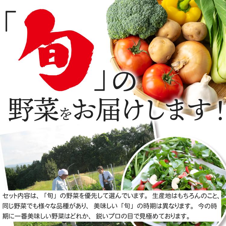 無農薬と低農薬だけ!旬の国産野菜 詰め合わせ 13種類 セット 13 無農薬と低農薬だけ!旬の国産野菜 詰め合わせ 13種類 セット 13
