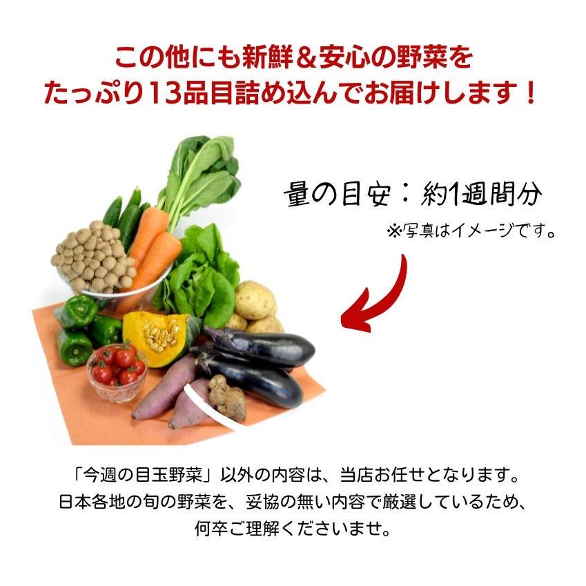 無農薬と低農薬だけ!旬の国産野菜 詰め合わせ 13種類 セット 13 無農薬と低農薬だけ!旬の国産野菜 詰め合わせ 13種類 セット 13