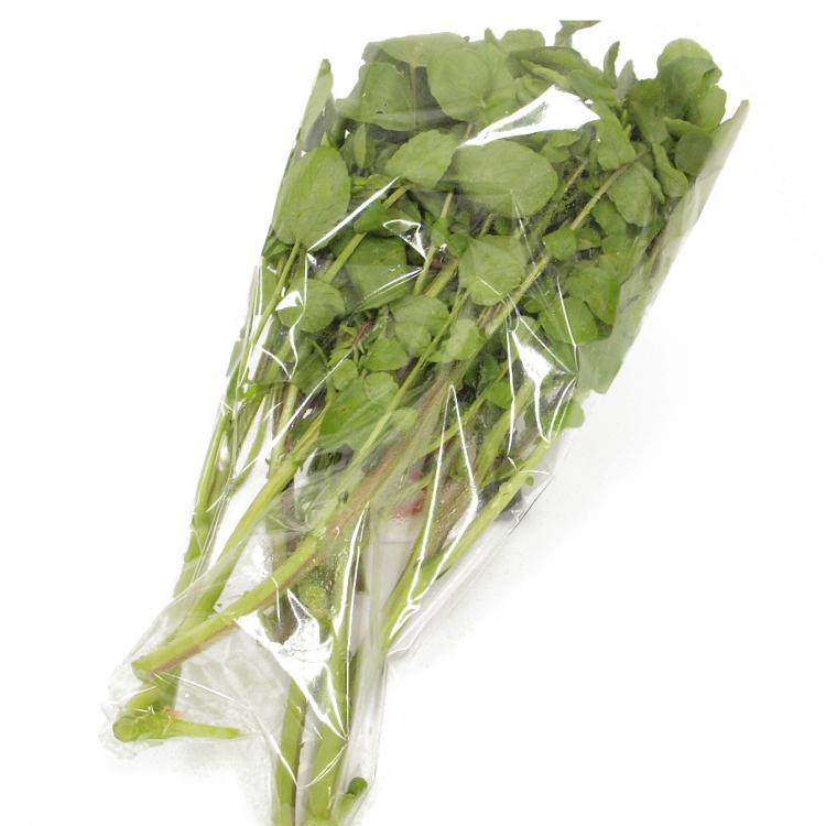 人気の野菜 クレソン 静岡県産 無農薬栽培 100g前後 富士山麓の湧き水