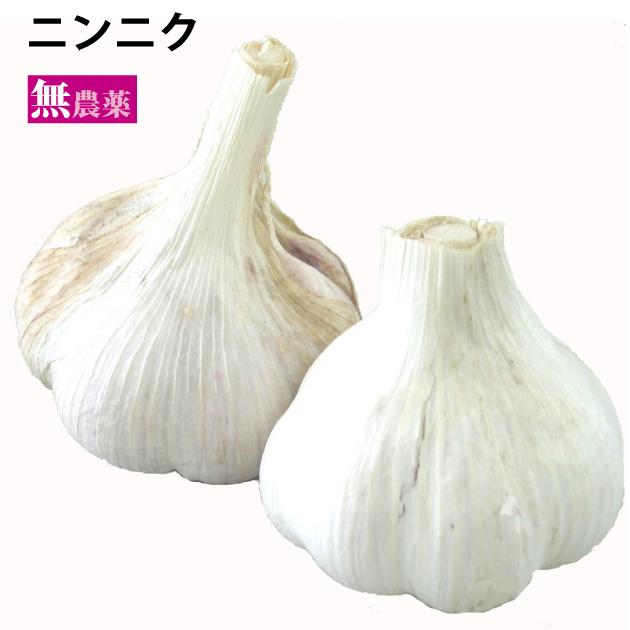 香味野菜 にんにく ニンニク 100g前後 無農薬栽培 送料別 ポイント消化