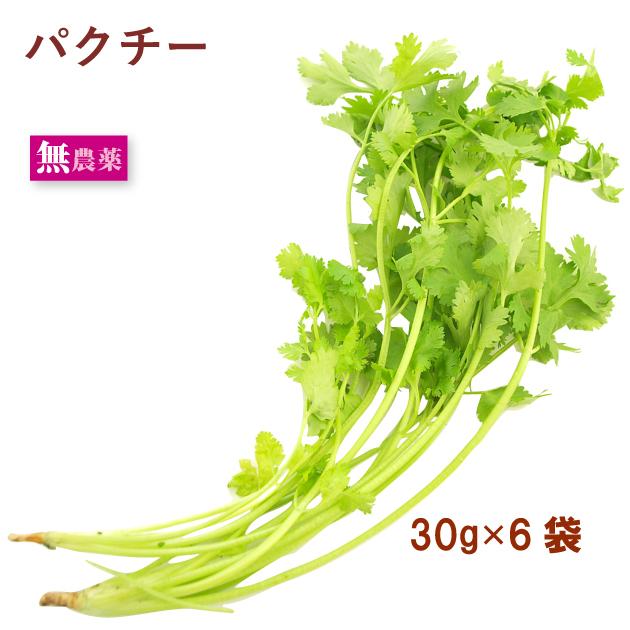 有機パクチー 茨城県産 無農薬栽培 30g 6袋 送料込 4651 5 ベジタブルハート 通販 Yahoo ショッピング