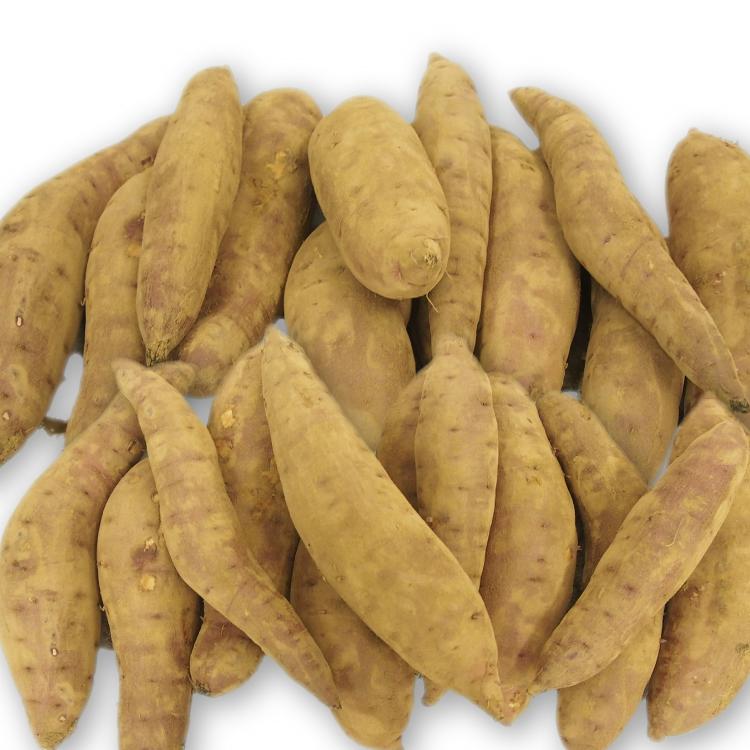 人気です さつまいも 紅はるか 10kg前後 無農薬栽培 追熟済 すぐ焼ける 送料込の画像