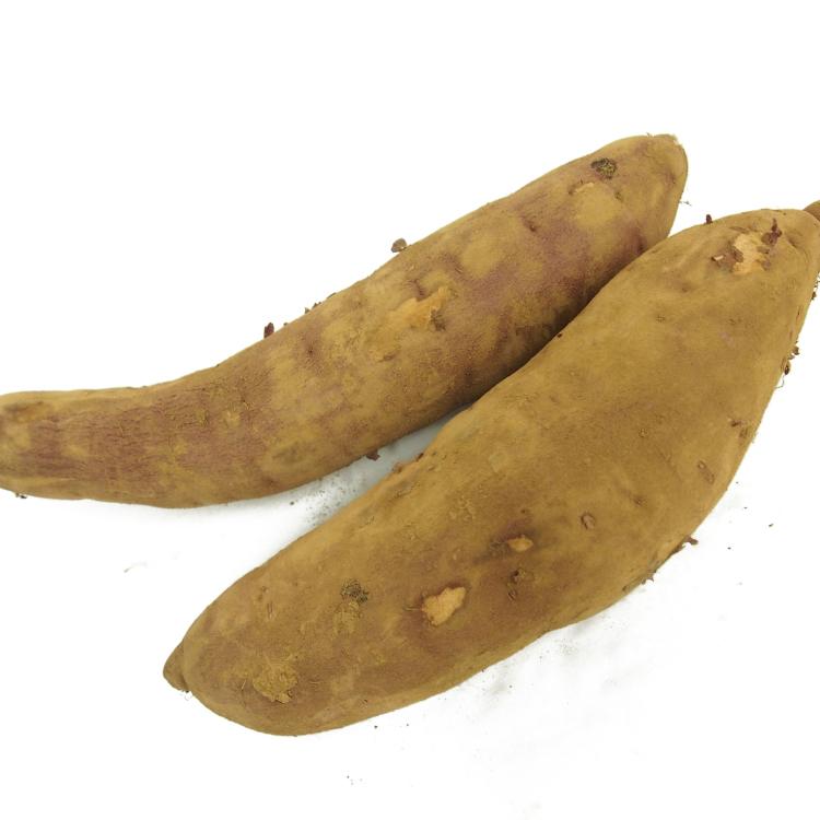 人気です さつまいも 紅はるか 10kg前後 無農薬栽培 追熟済 すぐ焼ける 送料込の画像
