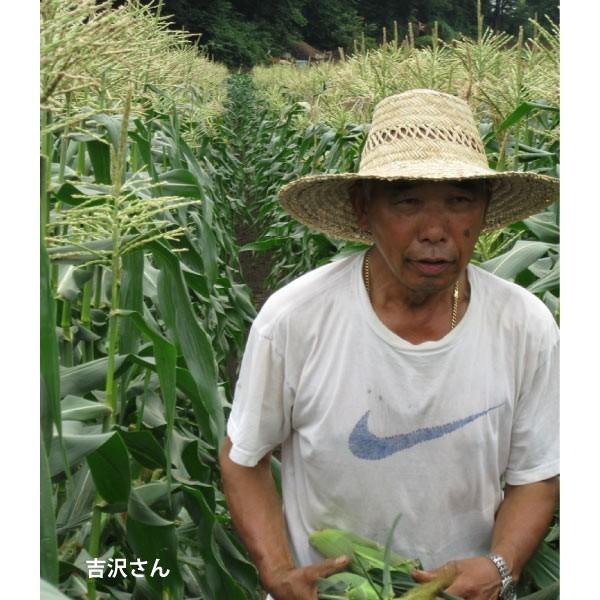 【最終】 毎年人気　とうもろこし 埼玉県産 無農薬栽培 　50本 【S1918199578】(12139円)