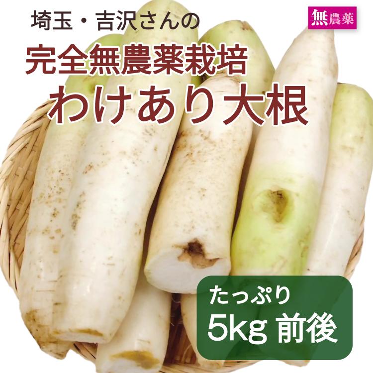 無農薬 大根 訳あり お買得品 規格外 期間限定 煮物 おろし みぞれ鍋