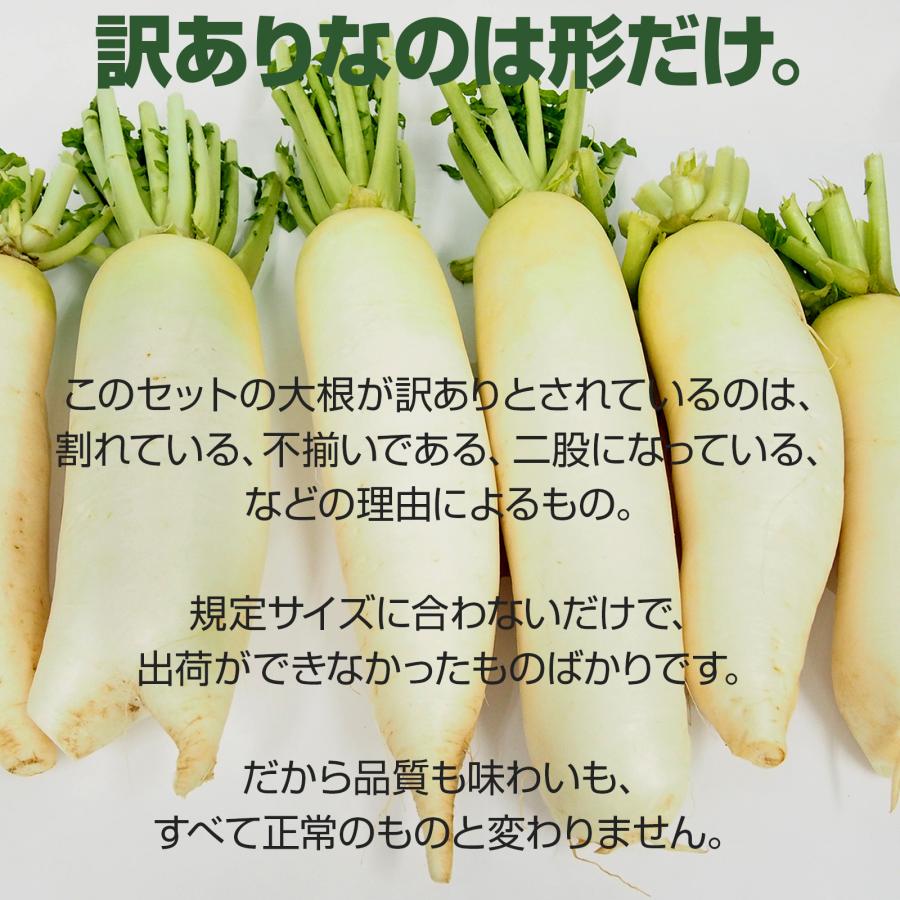 無農薬 大根 訳あり お買得品 規格外 期間限定 煮物 おろし みぞれ鍋