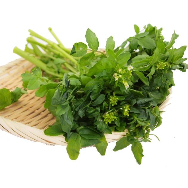 人気の野菜 クレソン 静岡県産 無農薬栽培 100g前後×5袋 富士山麓の