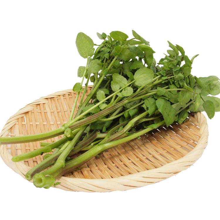 人気の野菜 クレソン 静岡県産 無農薬栽培 100g前後×5袋 富士山麓の