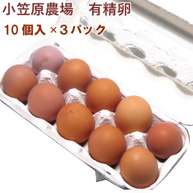鶏卵　有精卵 千葉県産　小笠原農場　平飼　自然養鶏卵 10個入 3パック　送料込