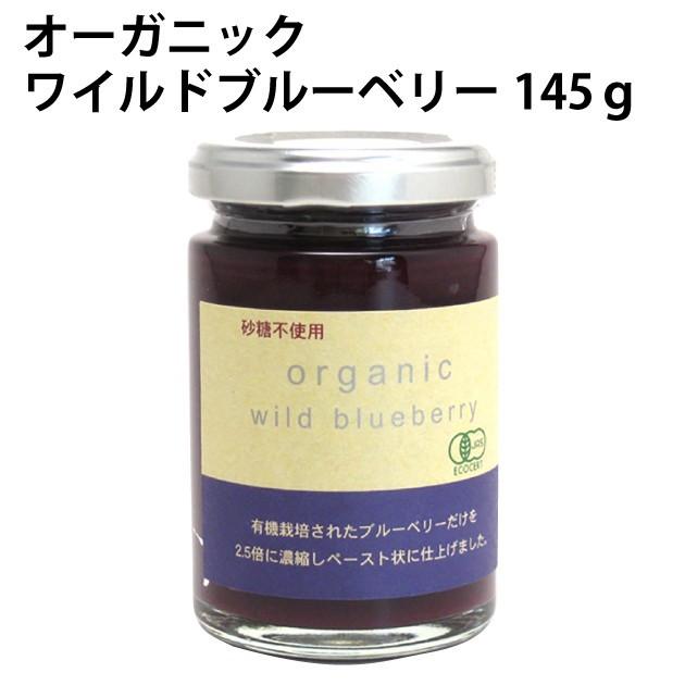 デイリーフーズ ブルーベリーペースト 145g　12本