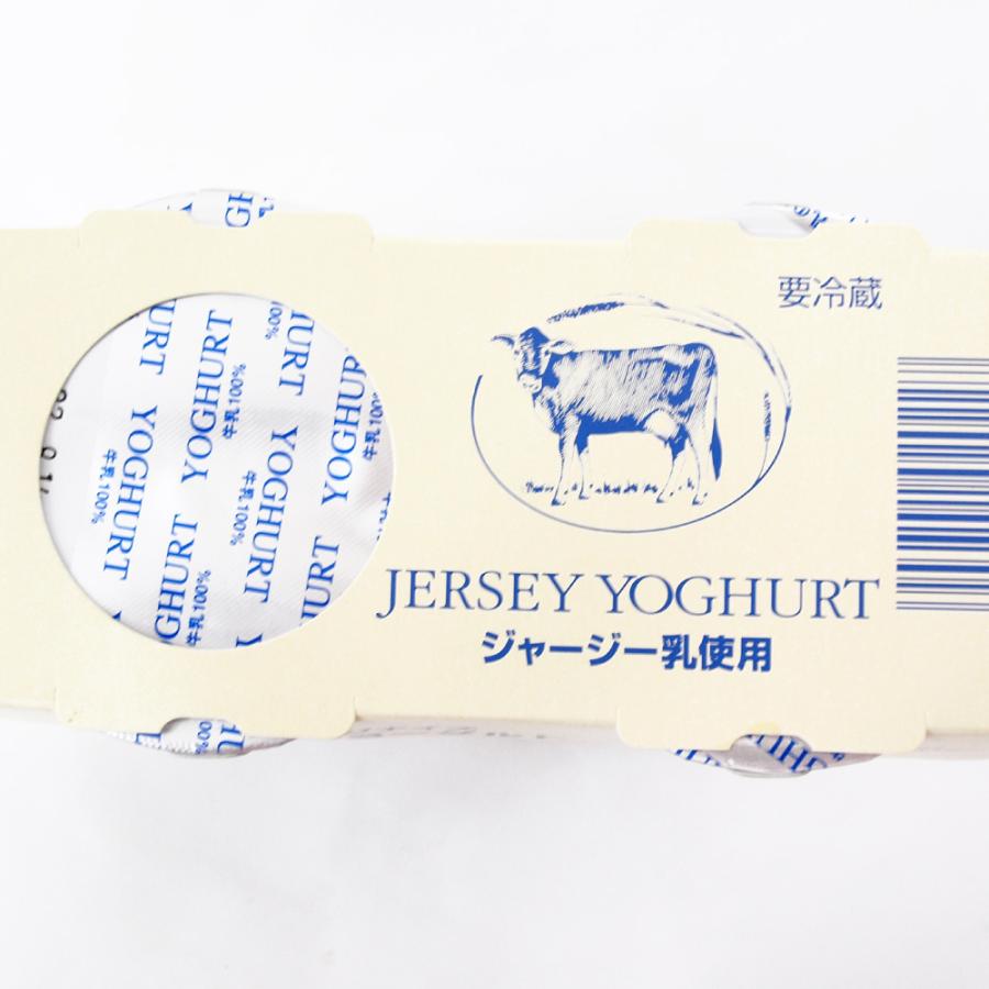 タカハシ乳業 ノンホモ ジャージーヨーグルト（加糖） 95g×2個 6セット