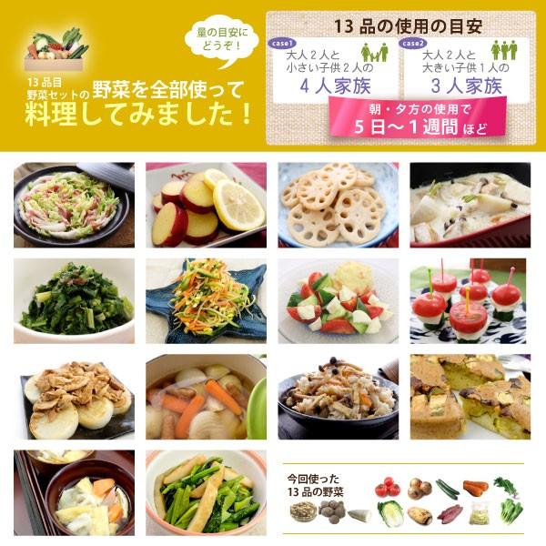 デラックス野菜セット（12品目）旬の野菜とフルーツ・卵・ハムソーセージなど冷蔵庫にあると便利な食材をセットでお届け　｜vegetable-heart｜05