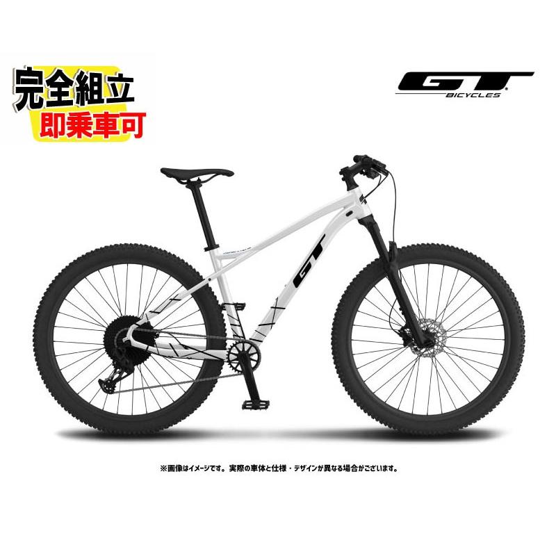 GT (特典付き!)2025 GT ジーティー AVALANCHE SPORT アバランチェ 