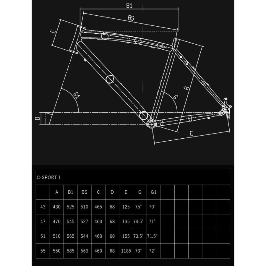 Bianchi（ビアンキ） (全サイズ有り)2025 BIANCHI C・SPORT 1 C