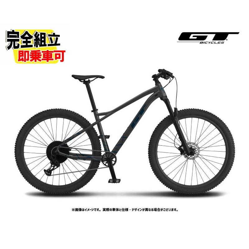 GT (特典付き!)2025 GT AVALANCHE ELITE アバランチェ エリート マット