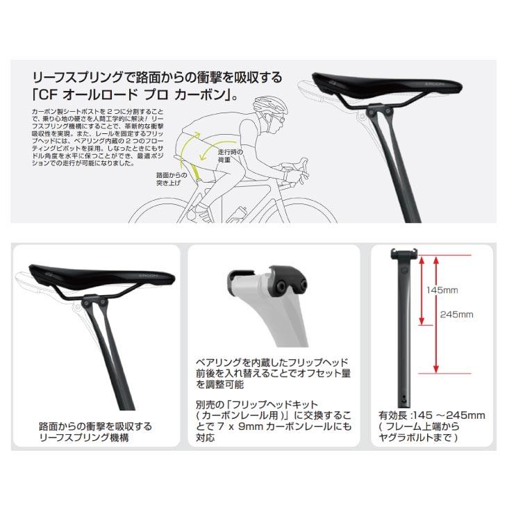 2%er ERGON エルゴン Seat posts シートポスト CF Allroad Pro Carbon