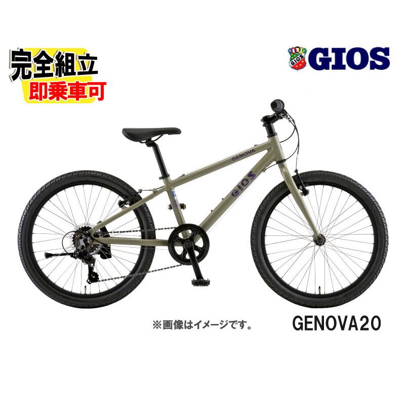 GIOS（ジオス） 2026 GIOS GENOVA 20 ジェノア20 ブラウン/パープル