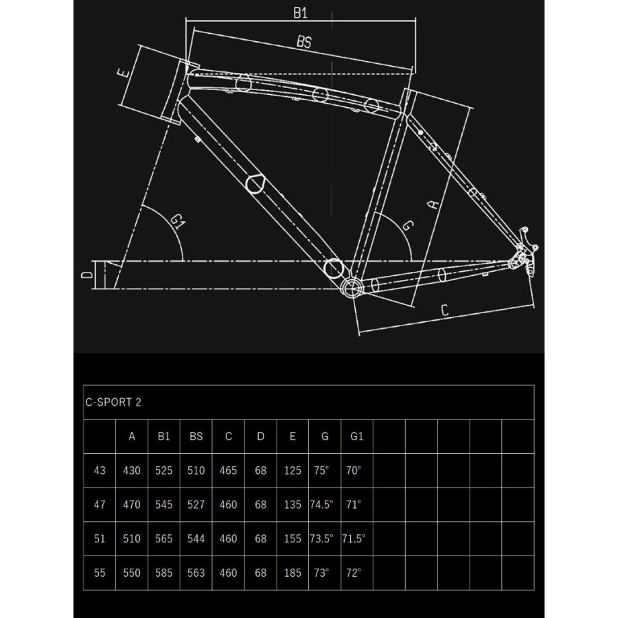 Bianchi (一部有り)2025 BIANCHI ビアンキ C・SPORT 2 Cスポーツ2
