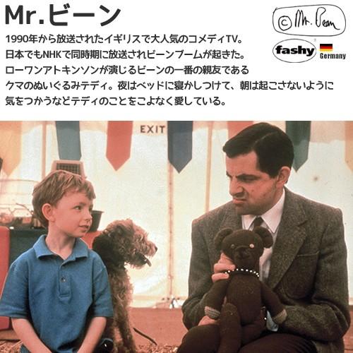 fashy ファシー 湯たんぽ テディ ビーン ベアー : チャイルドヴィー