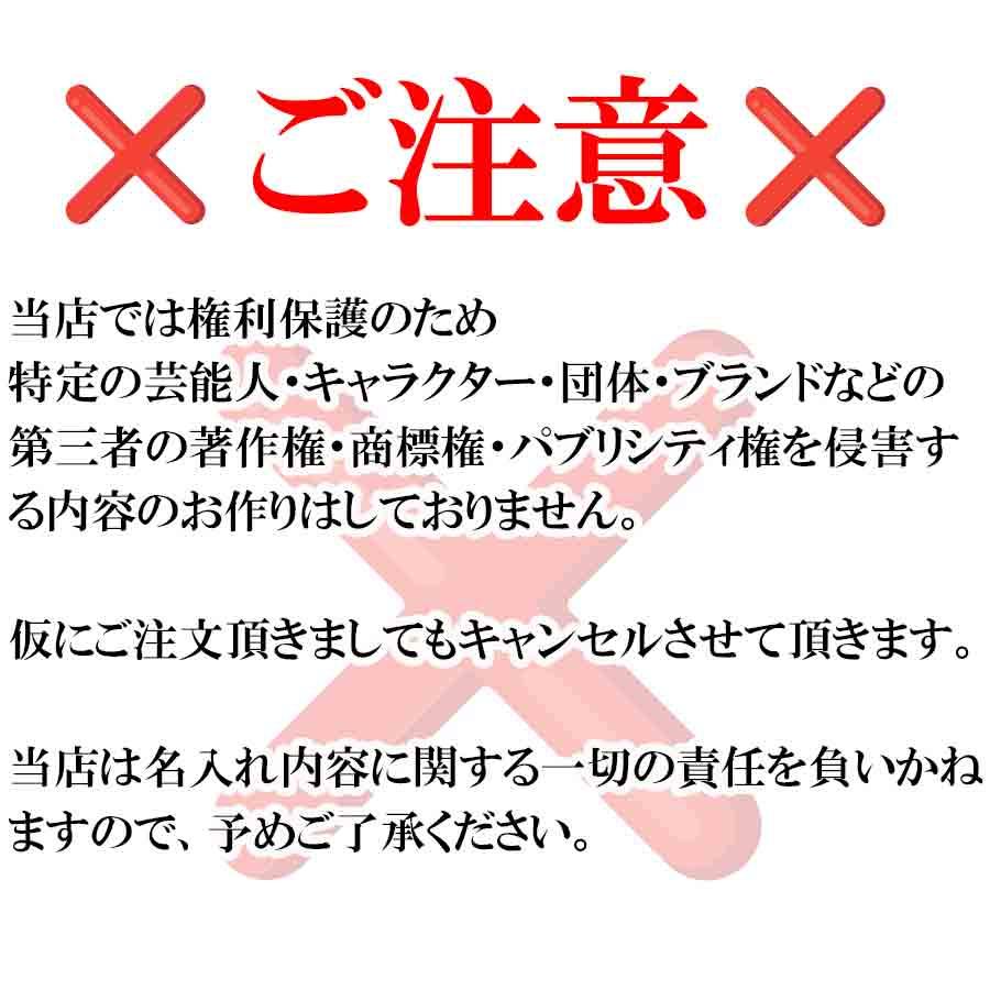 ペンライト 名前入れ 推し 色 オーダーメイド LED 15色切替 コンサート