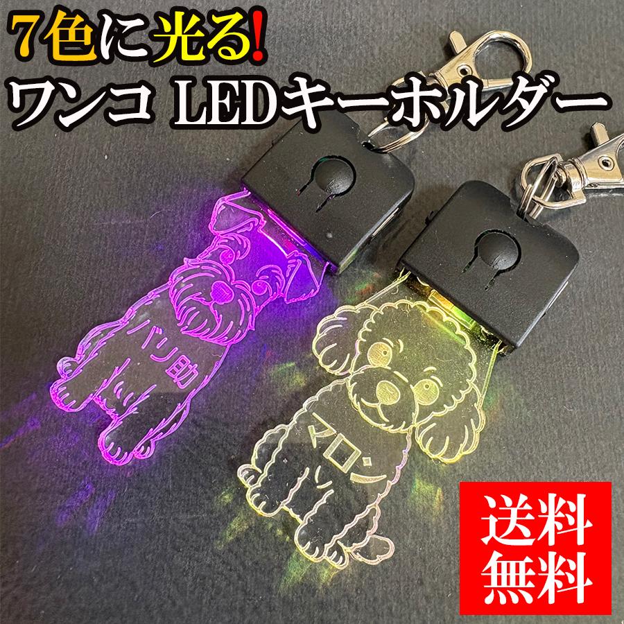 犬 キーホルダー 光る 名入れ ネームプレート 名札 チャーム 首輪 LED