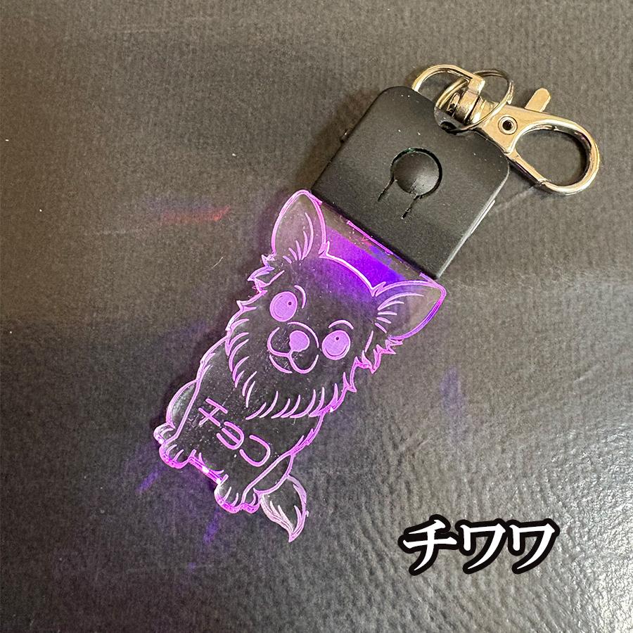 犬 キーホルダー 光る 名入れ ネームプレート 名札 チャーム 首輪 LED