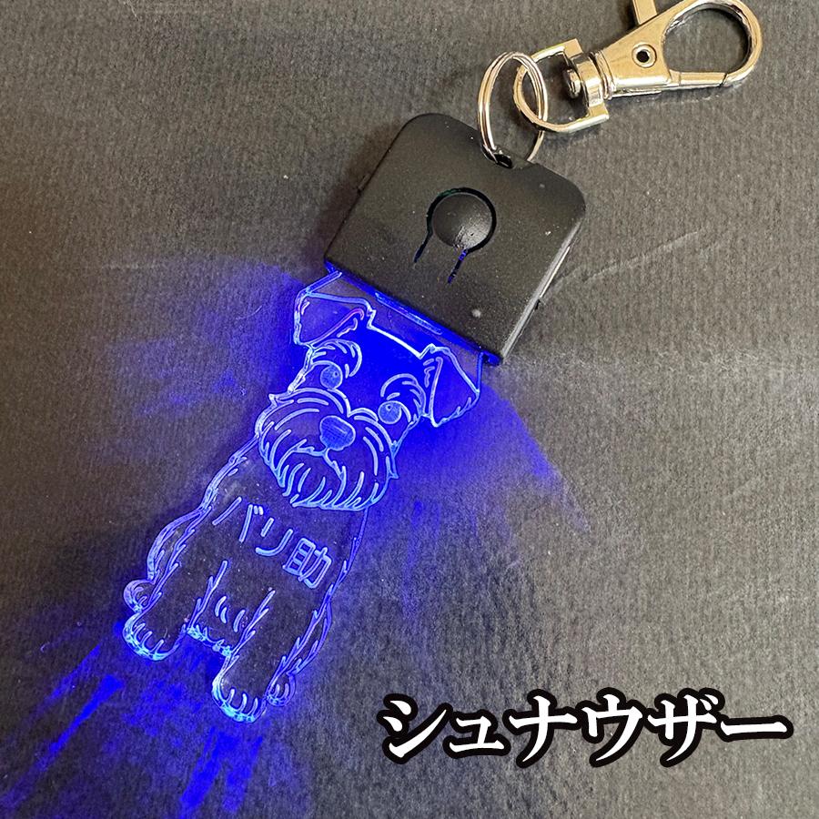 犬 キーホルダー 光る 名入れ ネームプレート 名札 チャーム 首輪 LED