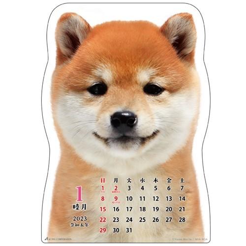 壁掛けカレンダー23年 23 Calendar ダイカット 柴犬です いぬ アクティブコーポレーション 柴犬 写真 インテリア Act 23 Acl 165 雑貨 アートの通販店 ベルコモン 通販 Yahoo ショッピング