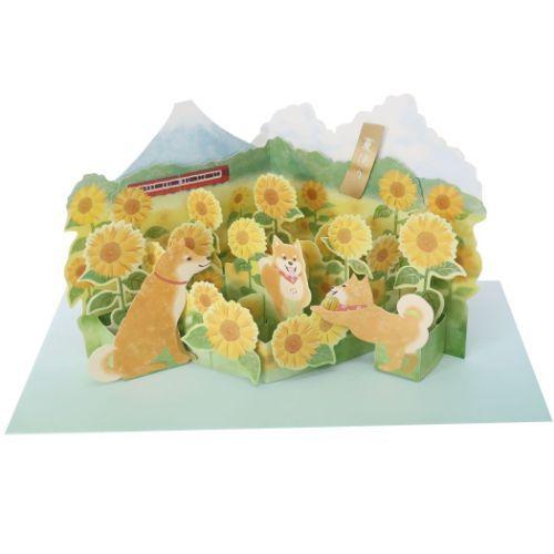 夏柄 ポップアップカード グリーティングカード ひまわり APJ