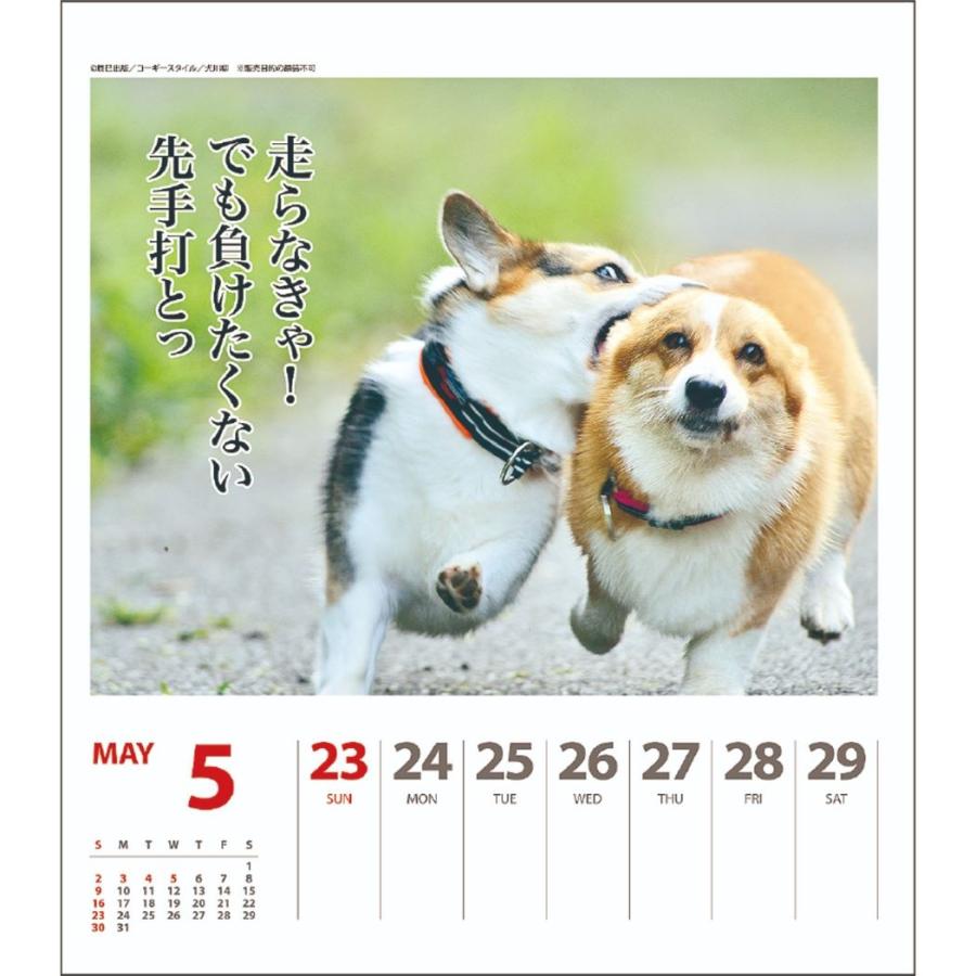 壁掛け 卓上 カレンダー 21年 コーギー犬川柳 週めくり スケジュール Apj いぬ 動物写真 書き込み インテリア Apj 21 Cl 010 雑貨 アートの通販店 ベルコモン 通販 Yahoo ショッピング